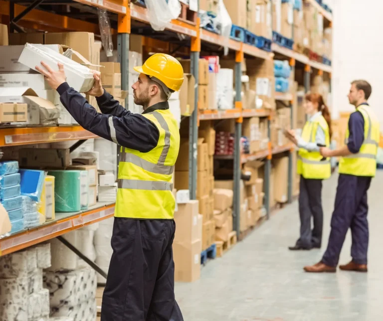 Team member managing and forecast inventory in a warehouse.